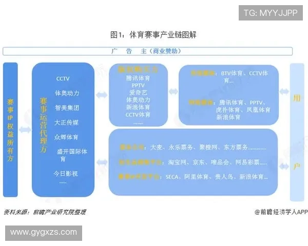 聚焦全球体育赛事格局深度解析与未来趋势前瞻战略与竞争态势观察 - 副本 (4)