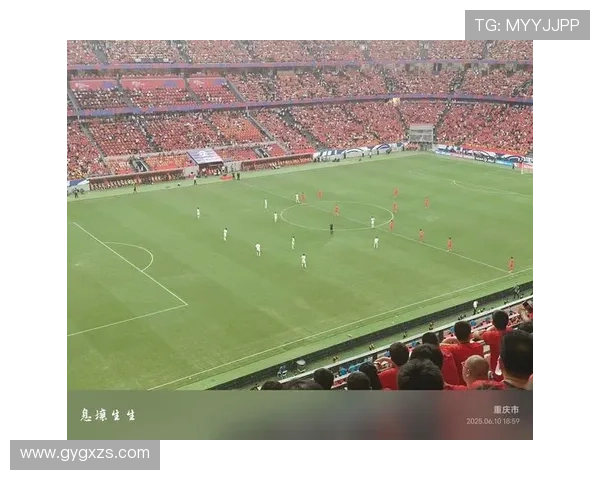 世界杯赛场最新战报实时追踪各队精彩进展与关键瞬间